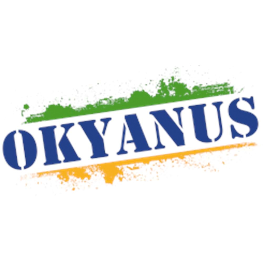 OKYANUS YAYINLARI LGS EKİM AYI DENEMESİ