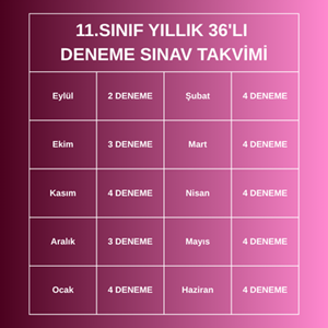11.SINIF YILLIK 36'LI DENEME PAKETİ (2026-2027)