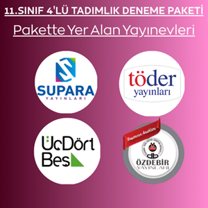 11.SINIF 4'LÜ TADIMLIK DENEME PAKETİ (2026-2027)