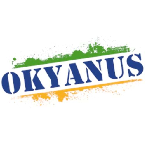 OKYANUS YAYINLARI LGS EKİM AYI DENEMESİ